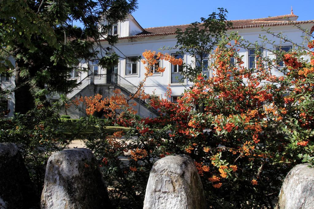 Casa De Mogofores Anadia Εξωτερικό φωτογραφία